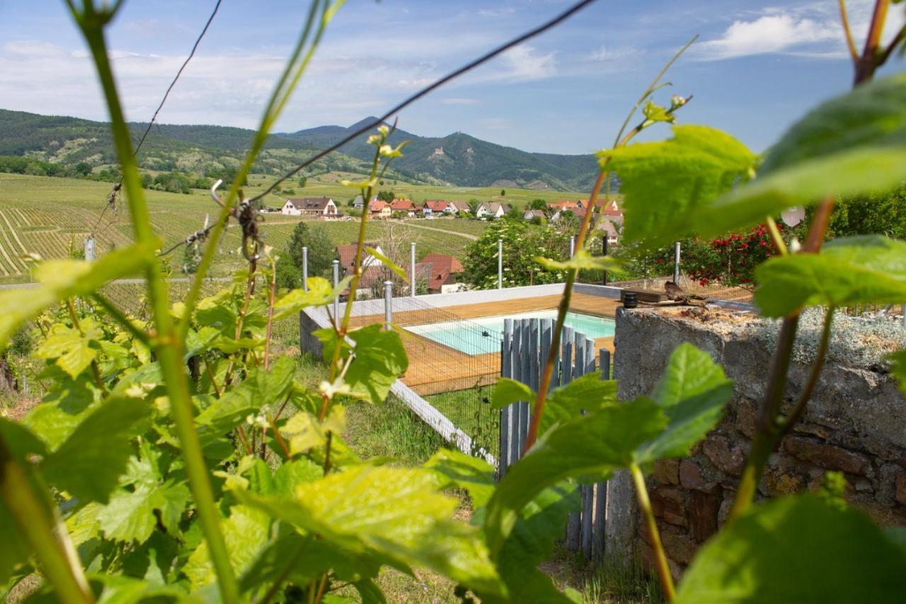 Vila Le Zell Zellenberg Exteriér fotografie