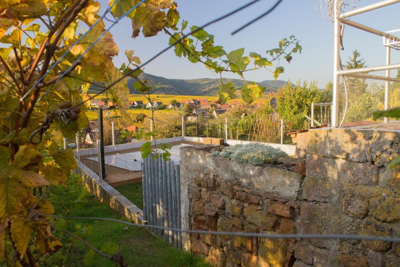Vila Le Zell Zellenberg Exteriér fotografie