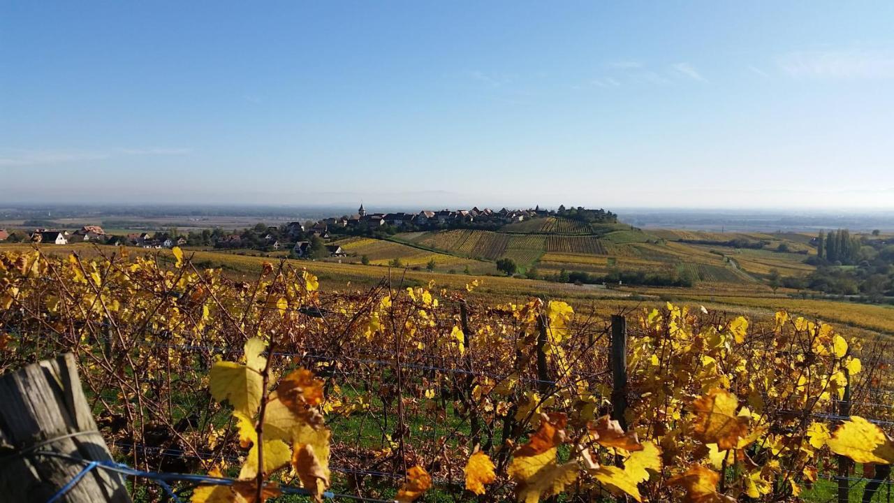 Vila Le Zell Zellenberg Exteriér fotografie